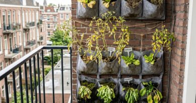 Efficient Vertical Vegetable Gardening