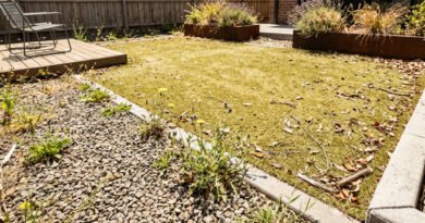 Low-Maintenance Backyard Landscaping Ideas