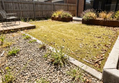 Low-Maintenance Backyard Landscaping Ideas